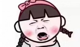 西湖盗窃学生爆料事件视频,监控视频揭露惊人真相